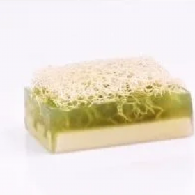 Platin Çay Ağacı Kabak Lifli Sabun